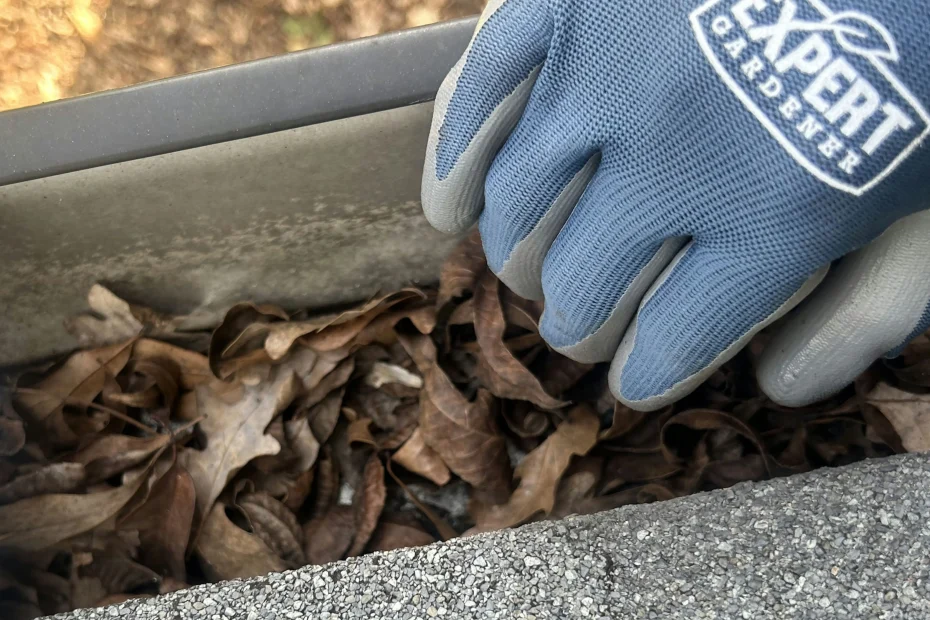 Gutter Cleaning Roeland Park, KS