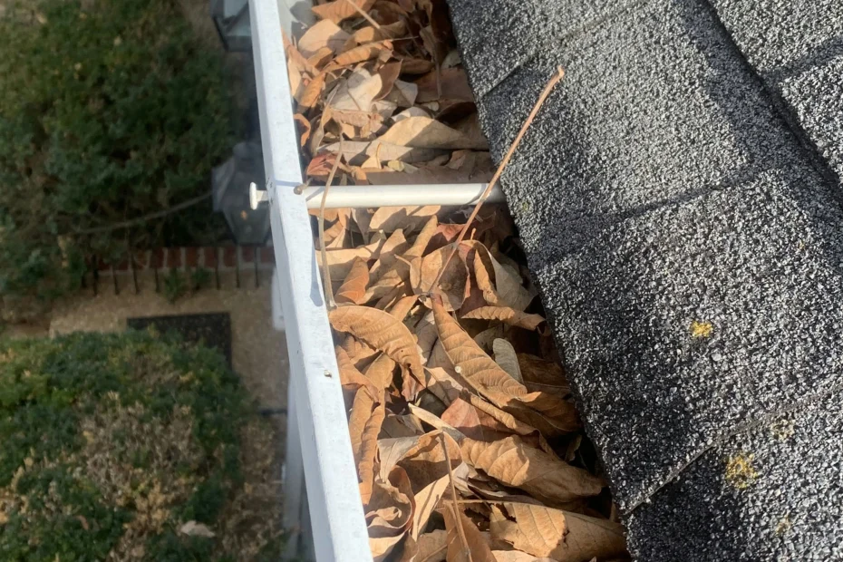 Gutter Cleaning Roeland Park, KS