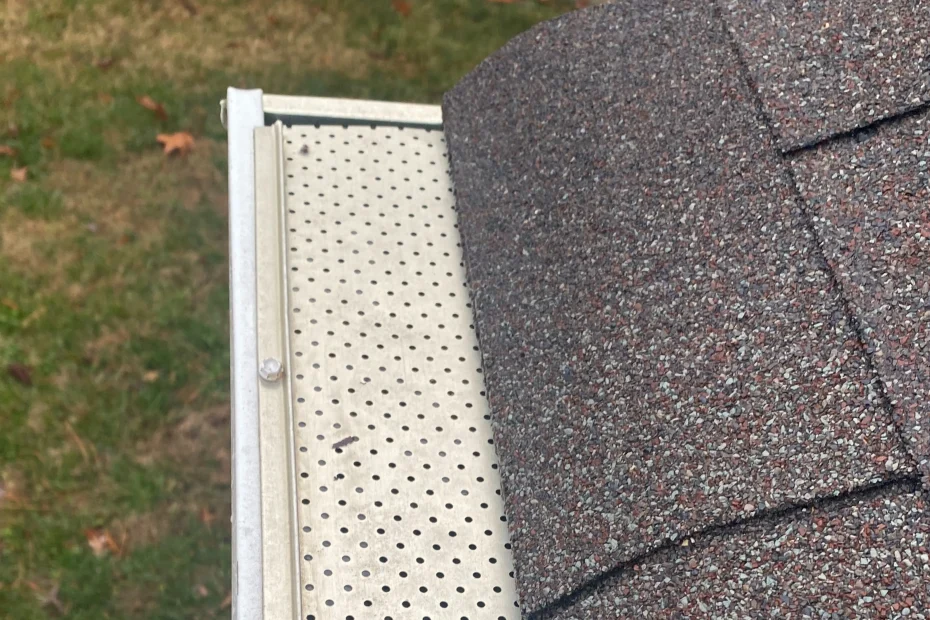 Gutter Cleaning Roeland Park, KS